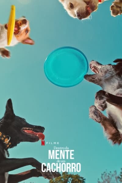 Filme Dentro da Mente de um Cachorro (2024)