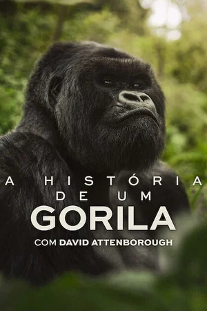 A História de Um Gorila com David Attenborough (2026)